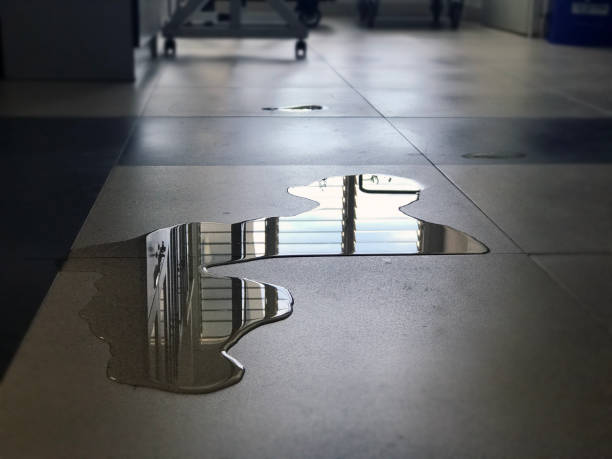 Best Water damage restoration near me  in Clemson University, SC