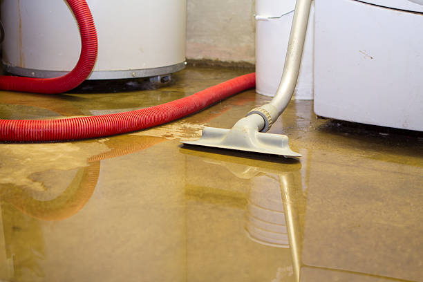 Best Local water damage restoration  in Clemson University, SC