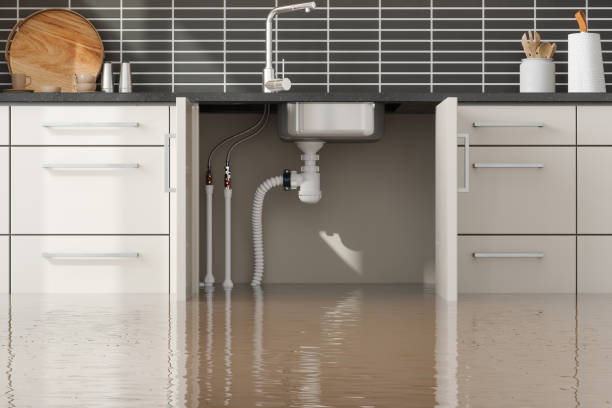 Best Ceiling water damage repair  in Clemson University, SC