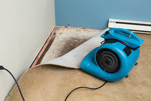 Best 24-hour water damage restoration  in Clemson University, SC